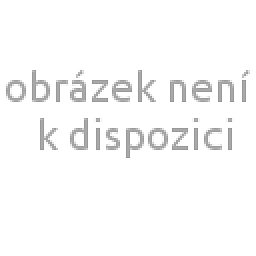 Obrázek pro produkt Polštář paměťová pěna 50x70