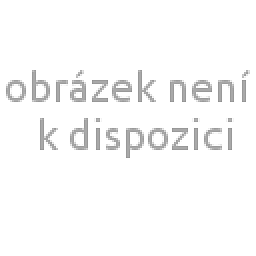 Obrázek pro produkt Polštář paměťová pěna 50x35
