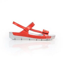 Obrázek pro produkt Miri coral mix/T